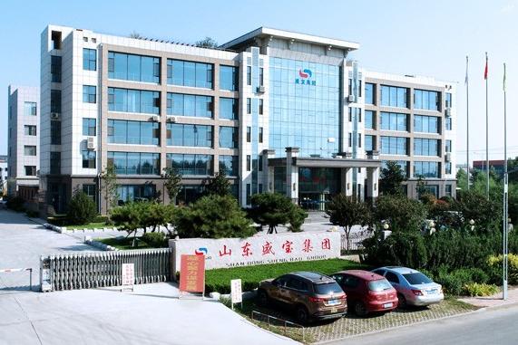 山東盛寶集團