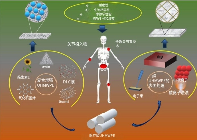 超高分子量聚乙烯在生物醫(yī)學(xué)應(yīng)用中的性能與功能化綜述