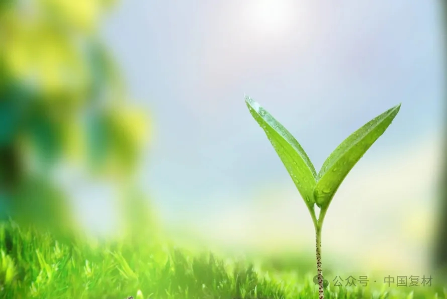 全球首創(chuàng)！100%生物基碳纖維誕生：材料革命的綠色里程