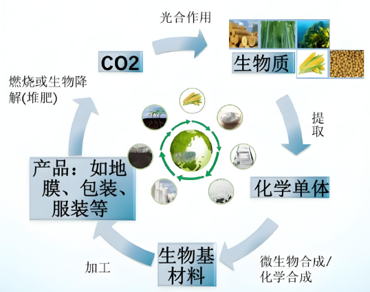 生物基復(fù)合材料全生命周期設(shè)計(jì)、性能調(diào)控及高端應(yīng)用最新進(jìn)展