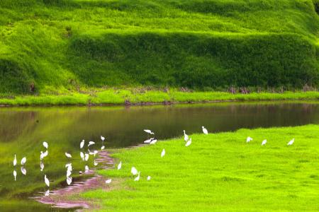 風電葉片綠色回收與應用聯合體在京成立