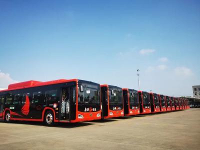 18輛首批碳纖維復合材料輕量化新能源巴士亮相嘉興