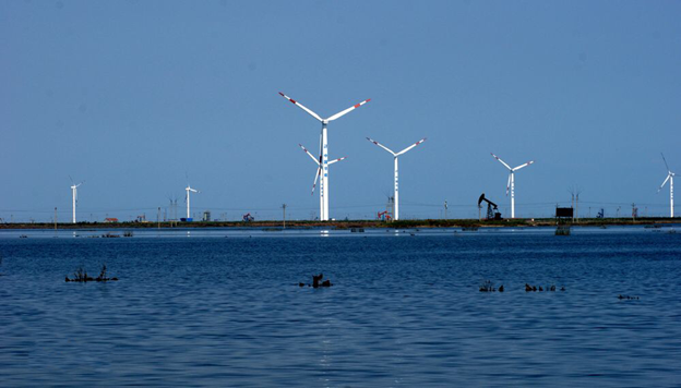 1635918038210172.png image.png