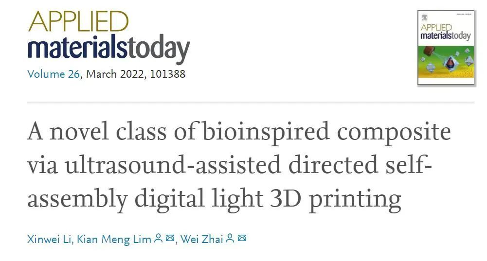 新型超聲場輔助DLP 3D打印設(shè)計制備超吸能非連續(xù)互穿相復合材料 新型超聲場輔助DLP 3D打印設(shè)計制備超吸能非連續(xù)互穿相復合材料
