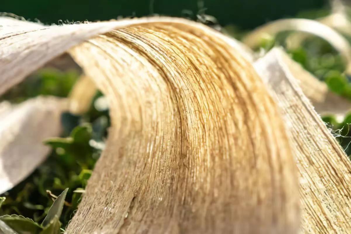 植物纖維及其復合材料應用前景廣闊 植物纖維及其復合材料應用前景廣闊