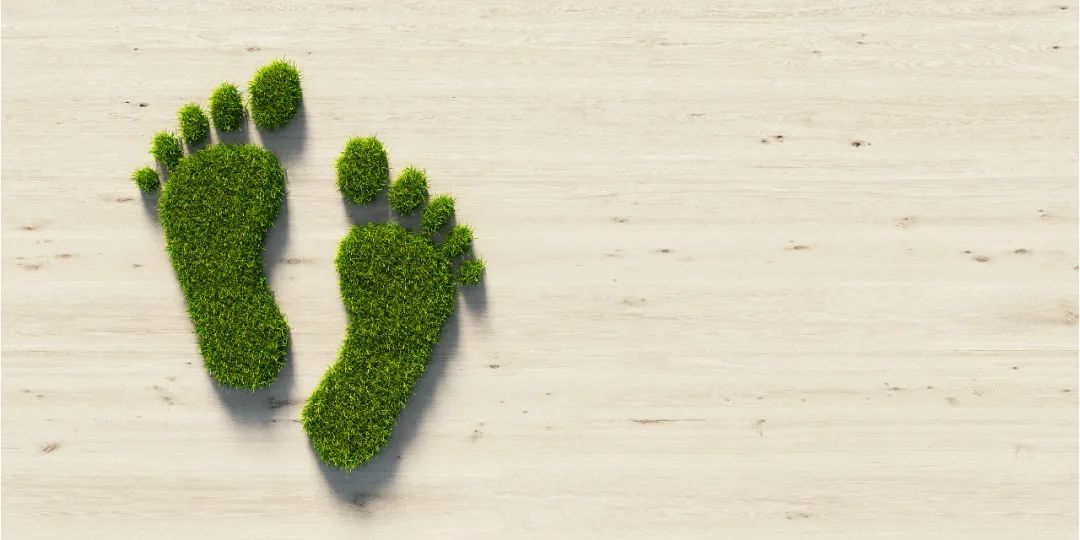 用天然纖維來增補工程熱塑性塑料的性能（下）