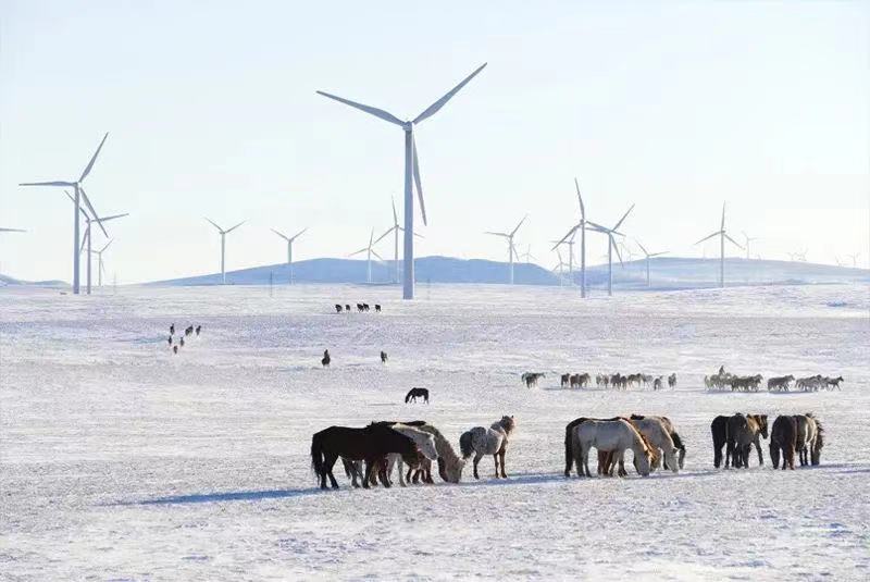 中材葉片：隱形冠軍 乘風而上 “能”動世界