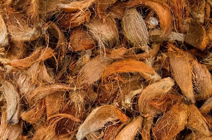 椰子纖維增強混凝土材料的文獻研究