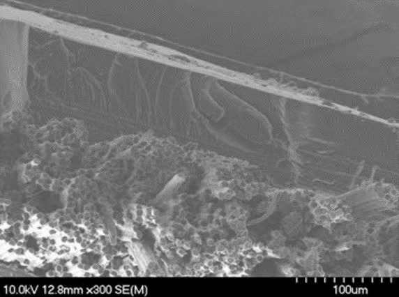 芳香族熱固性共聚酯具有獨特的性能以及多種形式的可用性
