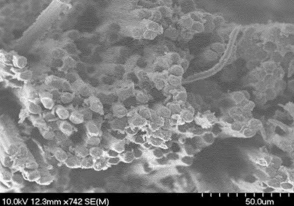 芳香族熱固性共聚酯具有獨特的性能以及多種形式的可用性