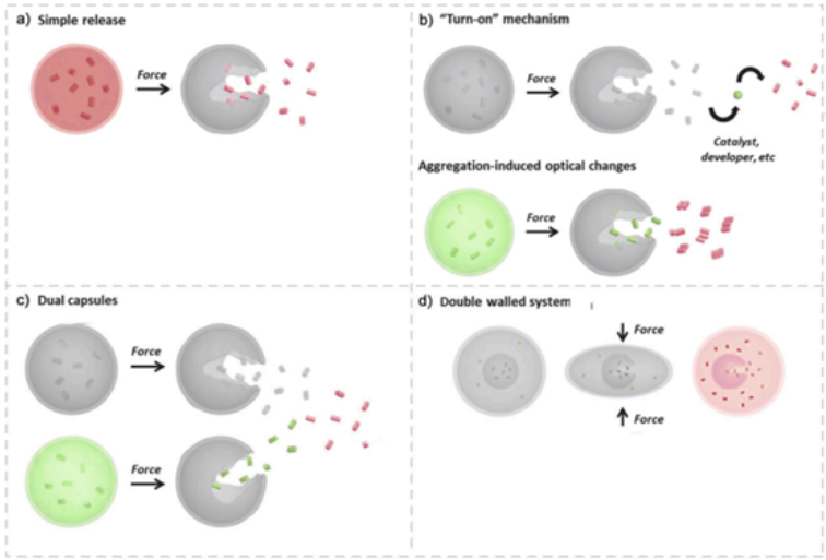 1672757205158746.png image.png