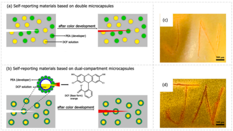 1672757252958194.png image.png