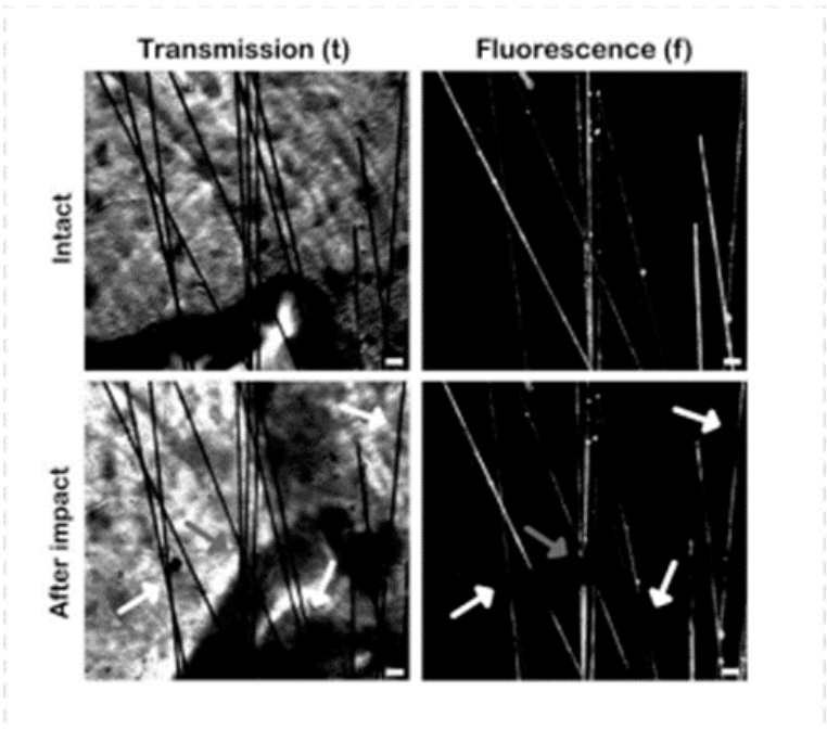 自動反饋機械變色系統用于復合材料結構健康監測的研究進展（三）