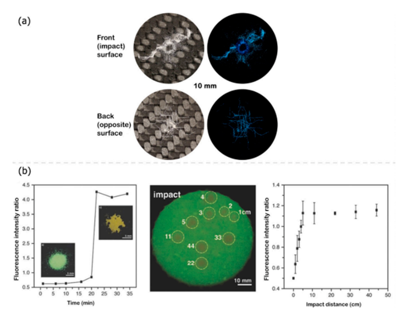 1672820886777603.png image.png