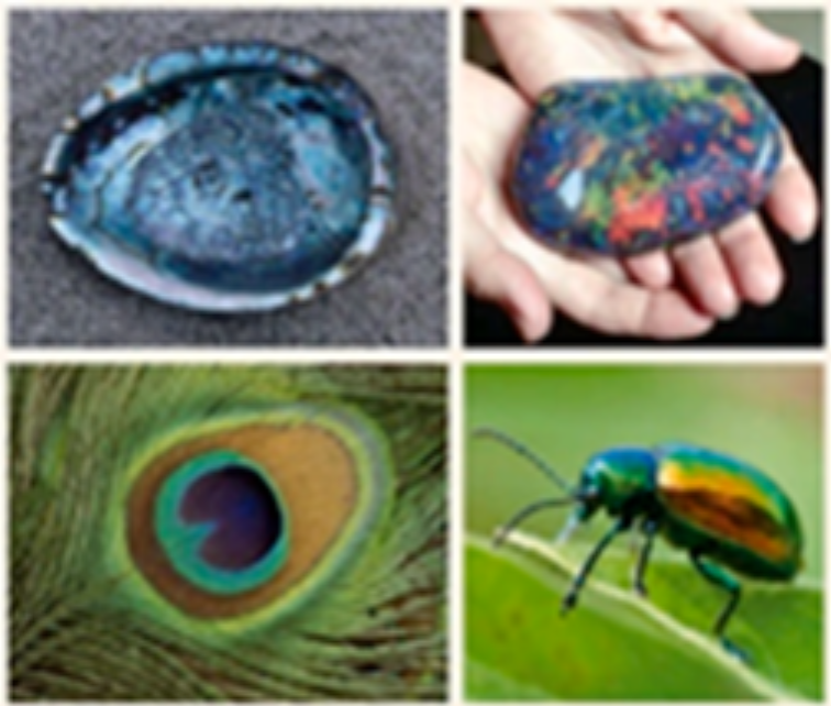 1672821039856855.png image.png