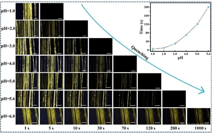 1673329529176335.png image.png