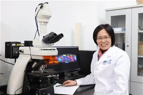 11月17-18日丨關(guān)鍵領(lǐng)域院士齊聚上海,為產(chǎn)業(yè)發(fā)展帶來(lái)新動(dòng)力 11月17-18日丨關(guān)鍵領(lǐng)域院士齊聚上海,為產(chǎn)業(yè)發(fā)展帶來(lái)新動(dòng)力