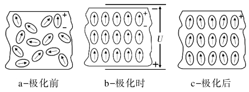 聚偏氟乙烯壓電薄膜技術與市場分析