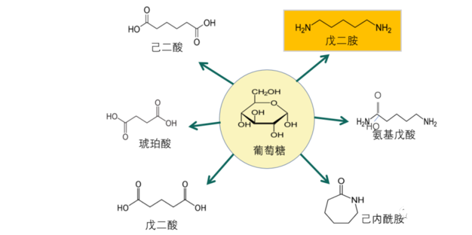 生物基聚酰胺的發展和應用前景 生物基聚酰胺的發展和應用前景