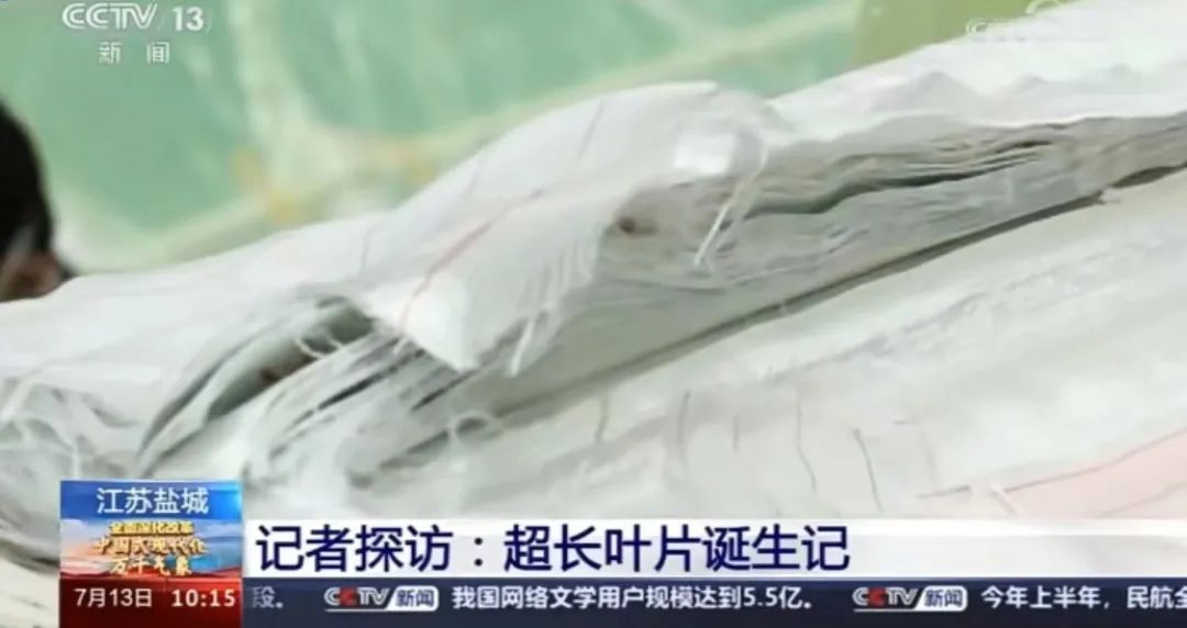 全球最長(zhǎng)！已裝機(jī)量產(chǎn)的海上風(fēng)電葉片如何誕生...