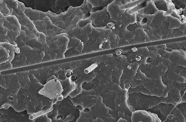 深材科技新動作 ！！！