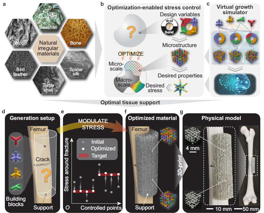 2024纖維領域十大新興技術 2024纖維領域十大新興技術