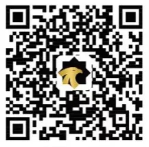  【會員風采】蘇州神鷹碳纖維有限公司