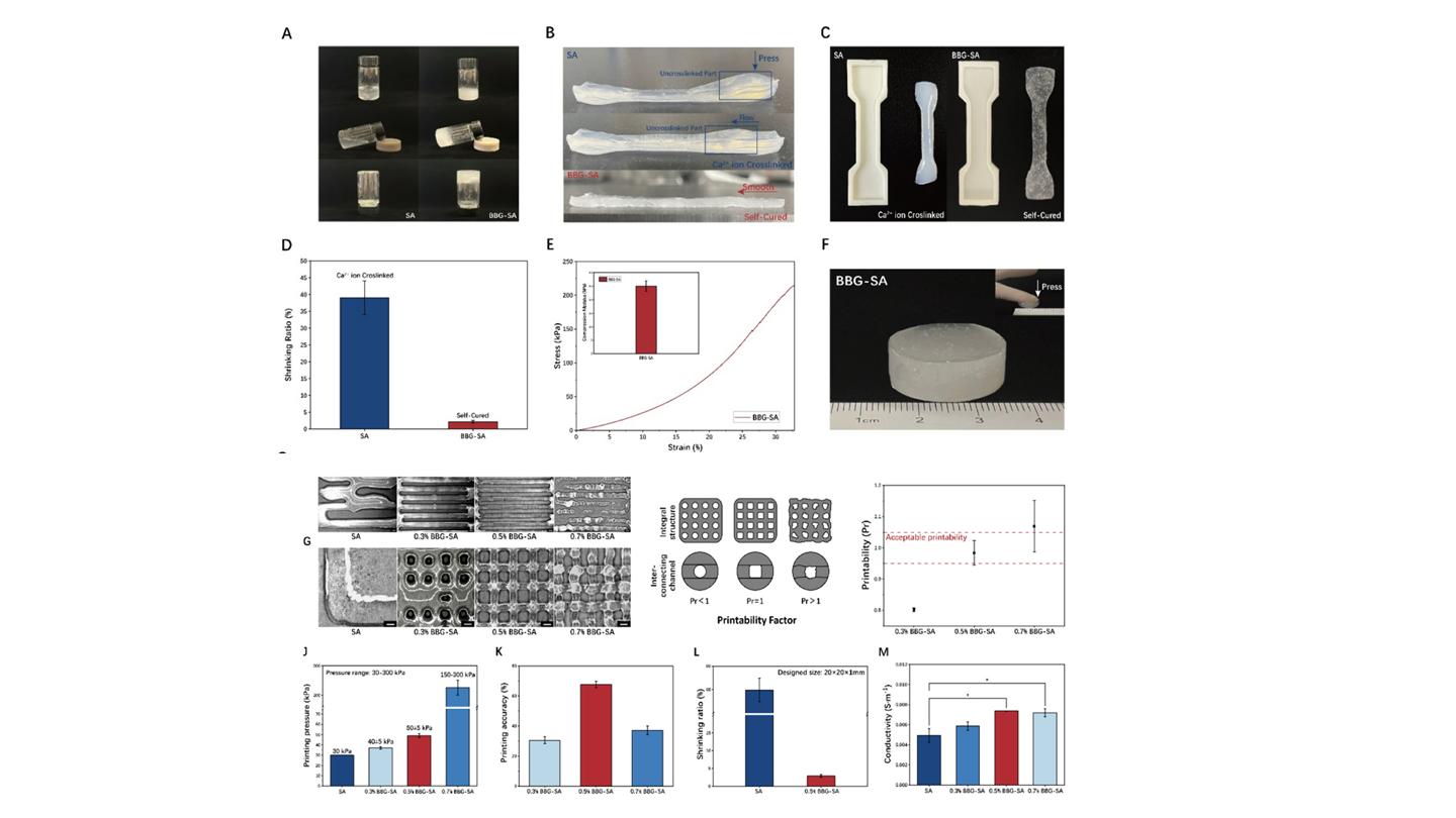 科學島團隊在3D生物打印組織工程研究方面取得新進展 科學島團隊在3D生物打印組織工程研究方面取得新進展