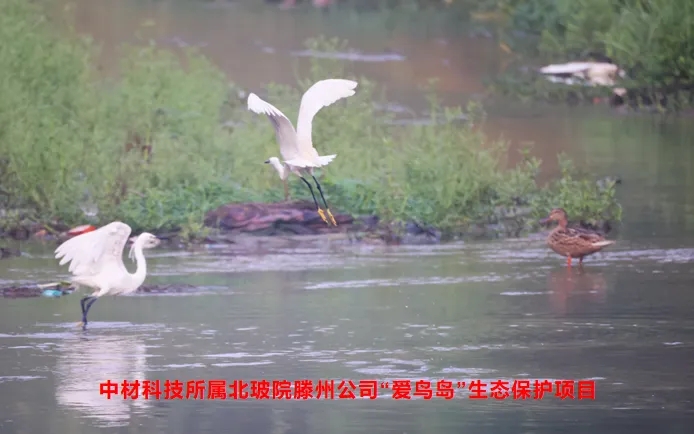 中材科技MSCI ESG評級提升,彰顯綠色發展理念 中材科技MSCI ESG評級提升,彰顯綠色發展理念