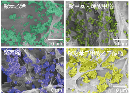 新型全生物質(zhì)纖維海綿提升水處理能力 新型全生物質(zhì)纖維海綿提升水處理能力