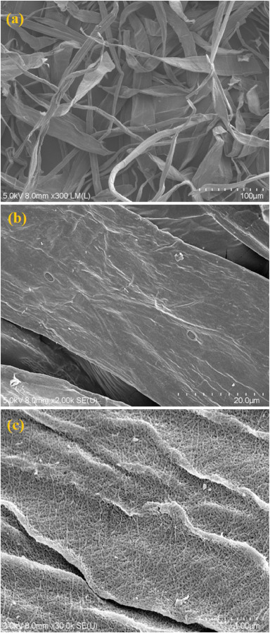 適用于3D打印的可回收麻秸稈纖維增強聚乳酸復合材料(上) 適用于3D打印的可回收麻秸稈纖維增強聚乳酸復合材料(上)