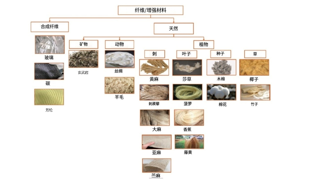 天然纖維增強聚合物復合材料綜述：可持續應用的新興材料