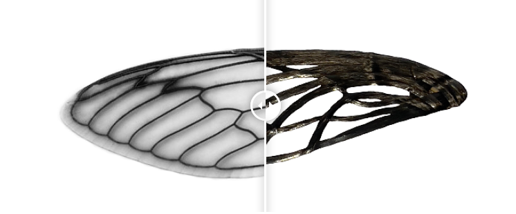 仿生纖維鋪放生產(chǎn)熱塑性復合材料預制件