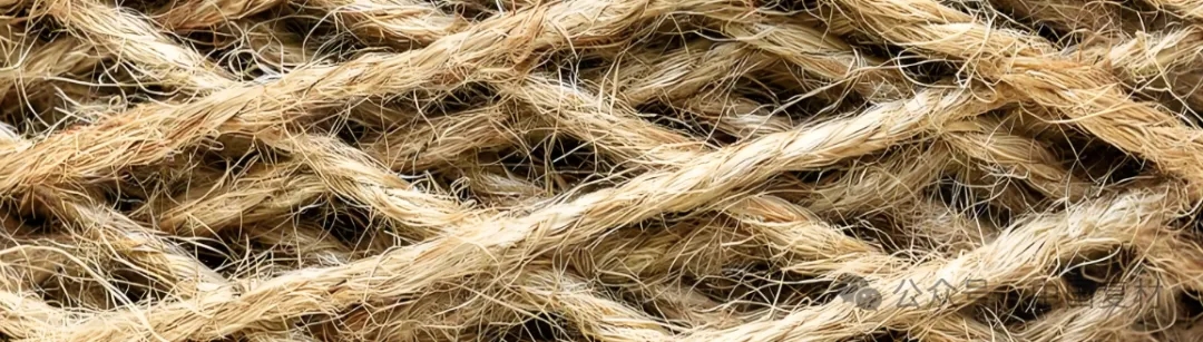 生物基、可回收、低能耗：復合材料解鎖環(huán)保發(fā)展新路徑