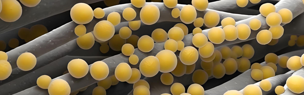 國(guó)內(nèi)聚合物納米復(fù)合材料研究與產(chǎn)業(yè)突破：技術(shù)迭代與場(chǎng)景落地